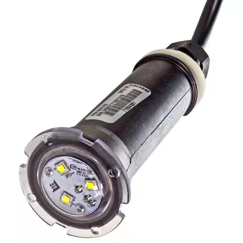 Pentair GloBrite White LED Light 602103 – 50 Foot Cord