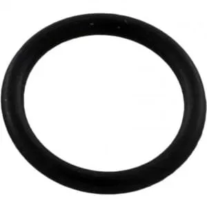 Pentair O-Ring Drain Plug | 192115Z