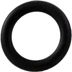 Pentair O-Ring Drain Plug | LA375