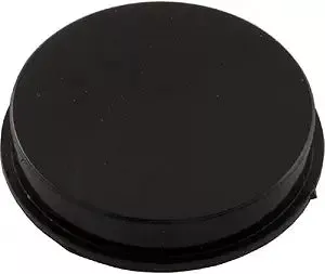 Pentair Plug Black | R172225X