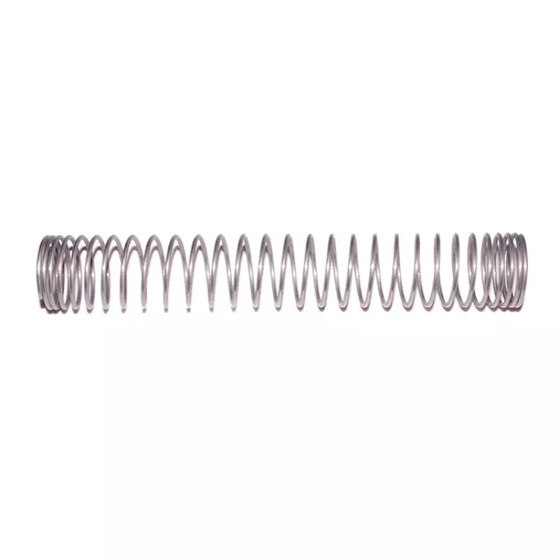 Pentair R171097Z Tube Support Spring