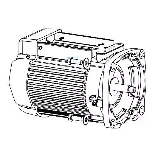Pentair TEFC Motor W/O Drive | Almond | 353134S