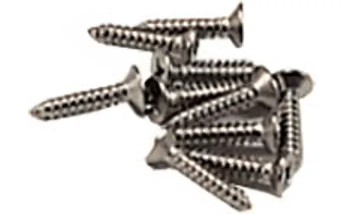 PoolStyle Screw Set for Standard Above Ground Skimmer 10 per Pack K013CS12