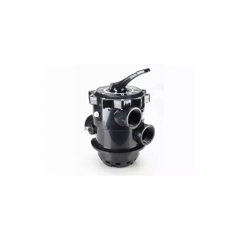 Praher Plastics 2″ Sta-Rite Filter Abs Clamp-Down Top Mount MPV TM-22-L
