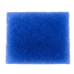 Raypak Filter | 008923F