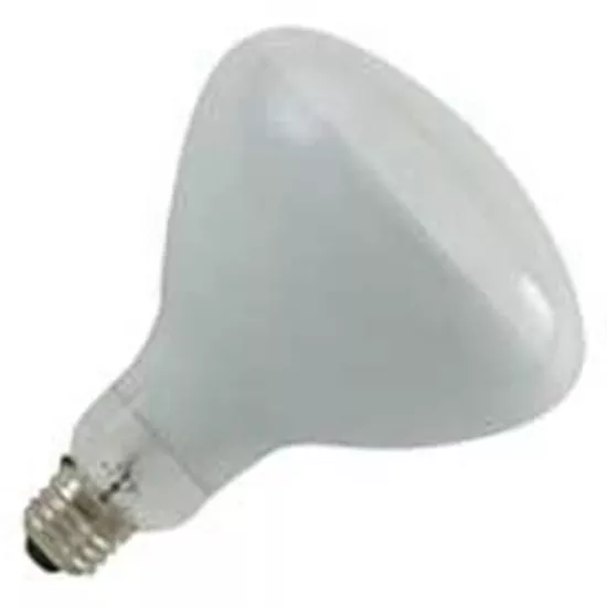Replacement Bulb 300 Watt 12V Floodlamp 79101900