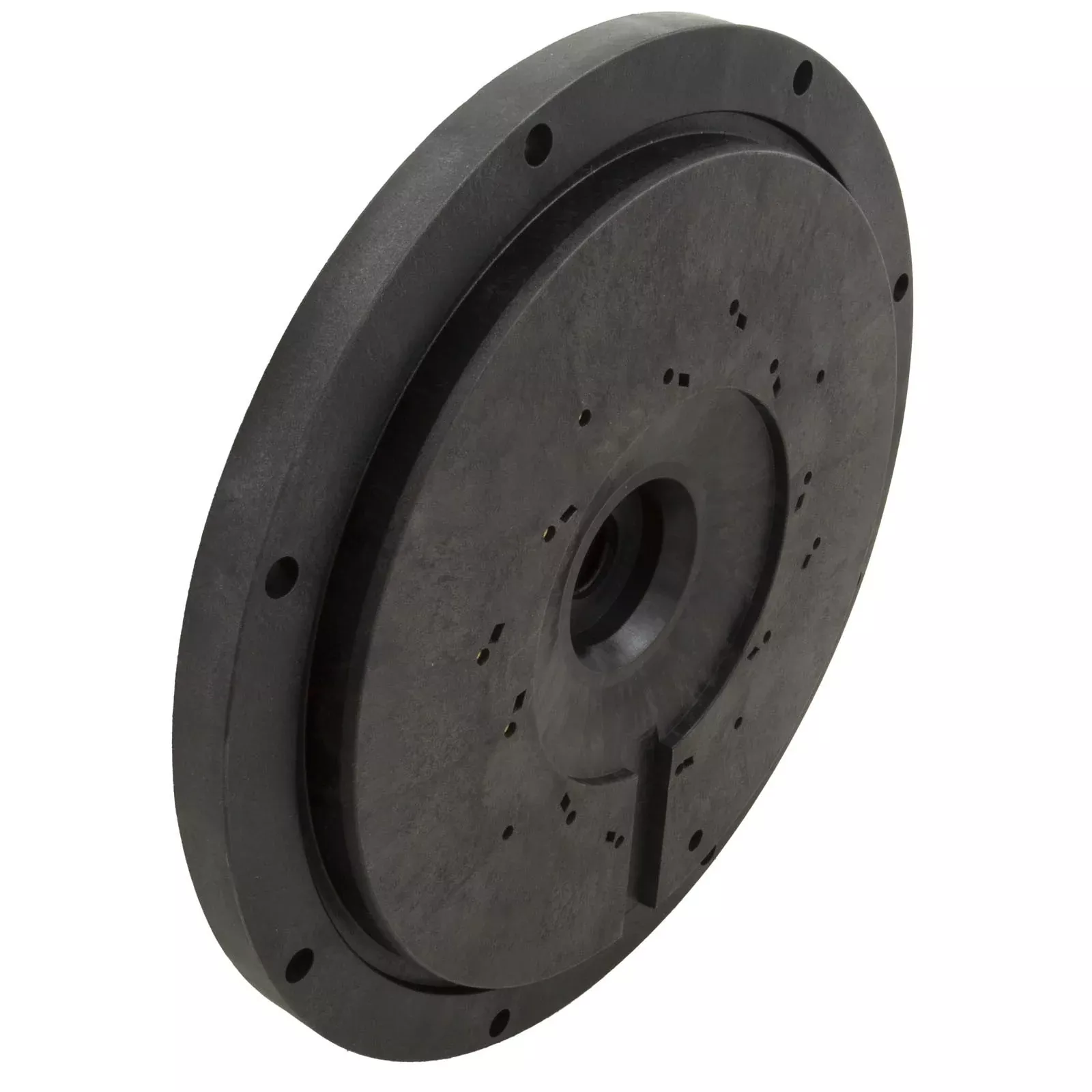 Seal Plate Only, Hayward HCP- HCXP6017A