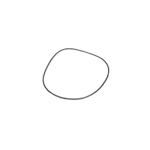 Sundance Jacuzzi O-Ring 6000-154