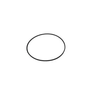 Sundance Jacuzzi O-Ring 6500-290