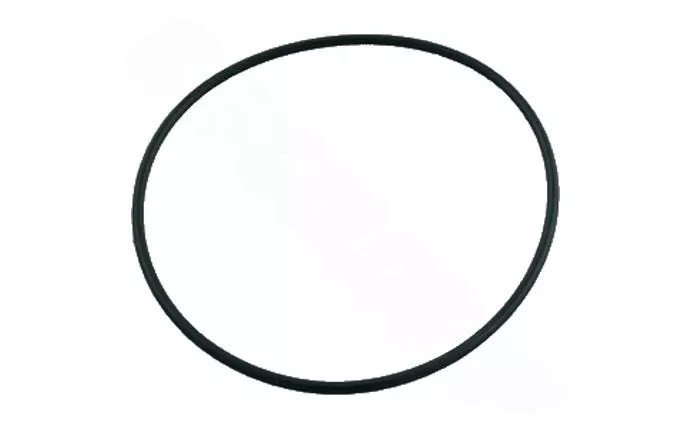 Super-Pro Diverter Valve O-Ring O-248-9