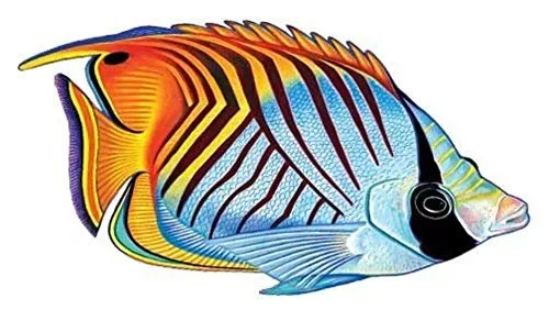 Threadfin Butterflyfish Porcelain Swimming Pool Mosaic