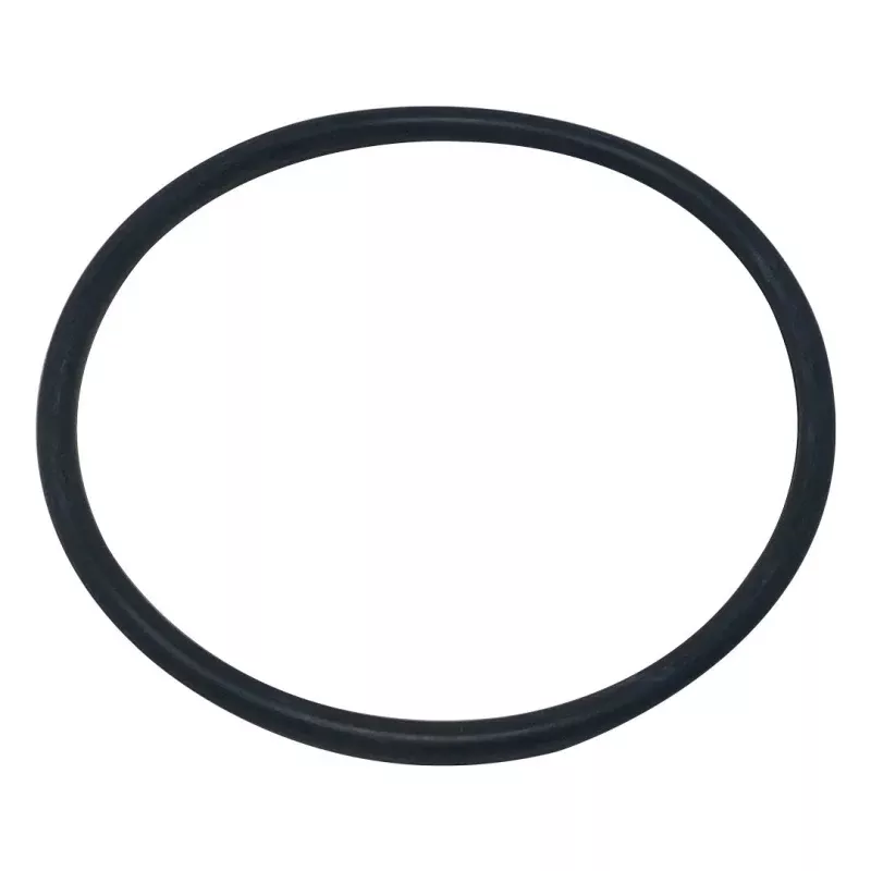 Turbo Clean Adapter O-Ring – Pentair In-Floor(A&A)