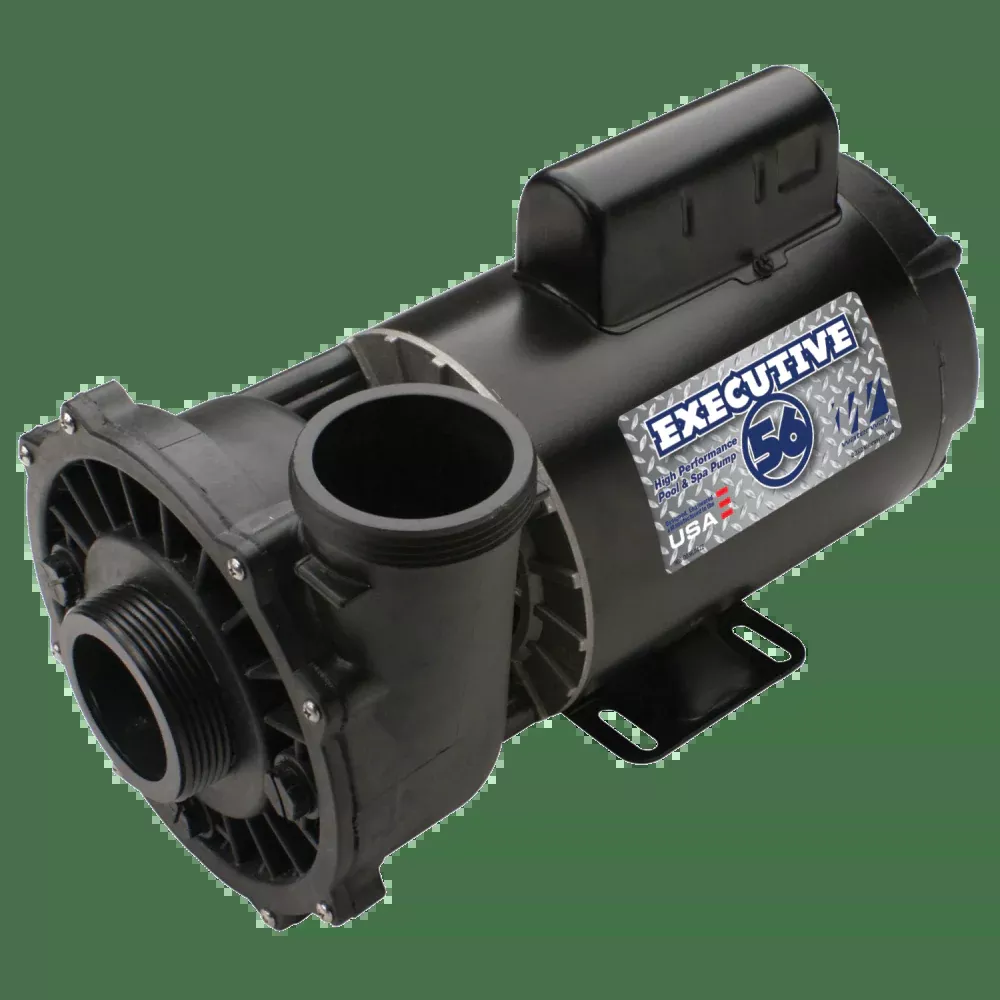 Waterway 2-Speed Executive 56-Frame Spa Pump, 2-2.5″ Intake, 2″ Discharge