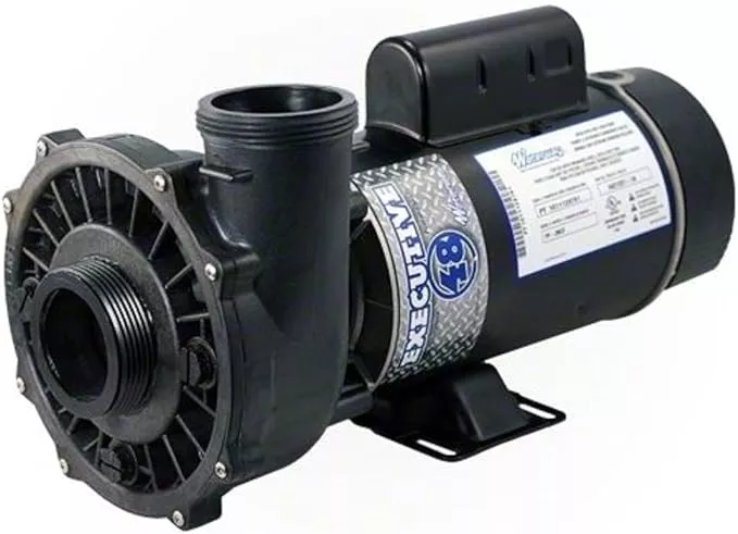 Waterway Executive 48 Frame 2 Speed Spa Pump 3 HP 230V 3421221-1A