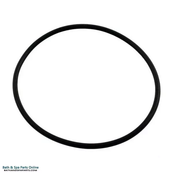 Waterway O-Ring [Waterway Serviceable Check Valve Cover] (805-0239)