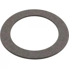 Waterway Plastics Gasket, Waterway, Wall Fitting | 806-1050