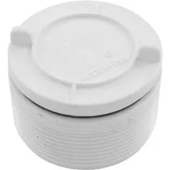 Waterway Plastics Hydrostatic Relief Valve, Waterway, 2" mpt, White | 600-2140
