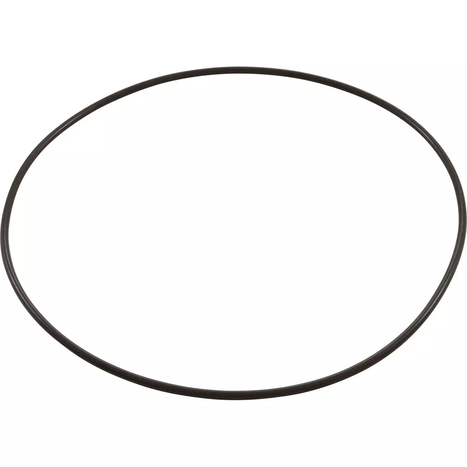 Waterway Viper, Volute O-Ring, 56 Frame, 2.5in (805-0264)