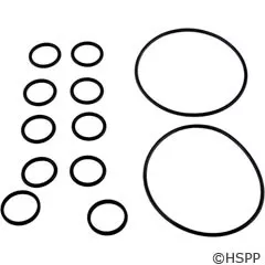 Zodiac/Jandy/Laars O-Ring Kit – R0552400
