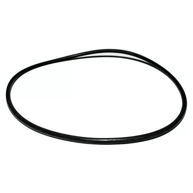 Zodiac Nature2 Professional G Cap O-Ring | W13061